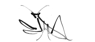 mantis calligraphy