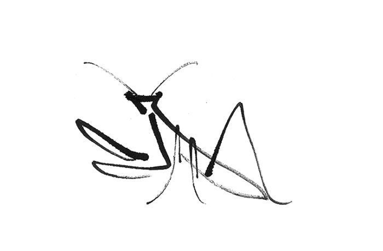 mantis calligraphy